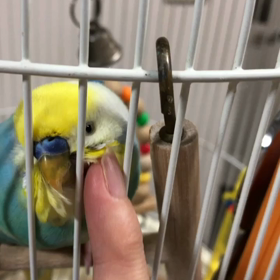 今日のふくちゃん&ポン君の画像