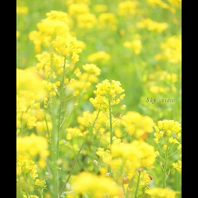 気を紛らわして、少しでも、ねますの画像