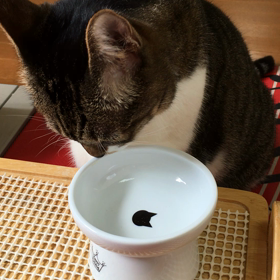 得意技？の画像