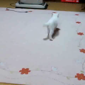 ☆ちーの驚愕の動き☆の画像