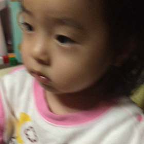 どうぶつの画像