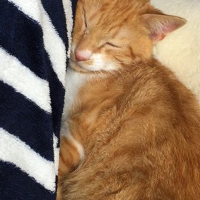 ▶︎爆睡part2の画像