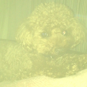 お歌〜超弱々しいVerの画像