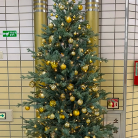 1日1クリスマスツリーfrom韓国！の画像