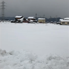 森本チャンネル・・・ストレス社会の画像