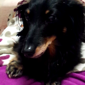 横着なそらの画像