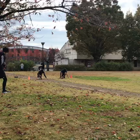 チャレンジカップリレー練習⑪の画像