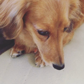 杏花里ちゃん　眼振発作の画像