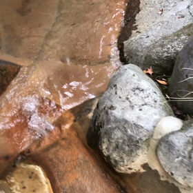 九州旅行その40  ここの温泉は日本一。心も体もあったか。の画像