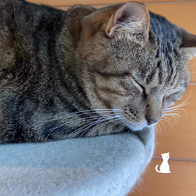 眠くて…の画像