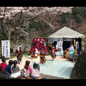 城山桜まつり 開催の画像