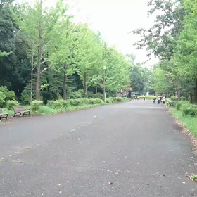 9月21日 100mBグループ①の画像