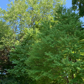 パートナーシップ@競技ダンス 黒歴史編 それぞれの事情の画像