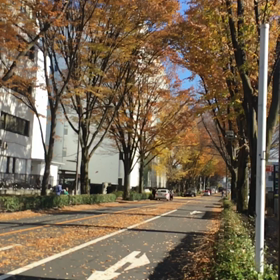 寒いと…  、青空、ただいまー、行って来まーす。の画像