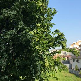 介護なう133-なんでだろう？の画像