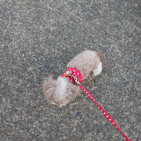 おはようございます➰❤️の画像