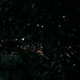 ほんの癒しにの画像