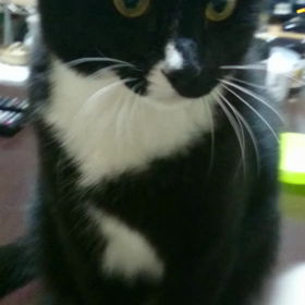 ハンター素質０の画像