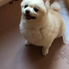 夏が終わる…の画像