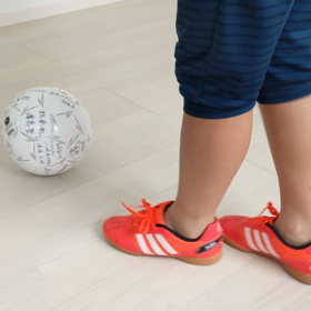 546.頂いたボールの画像