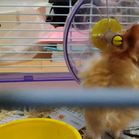 はじめましての画像