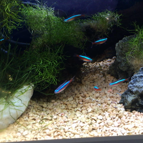 感謝しなくてはいけないの画像