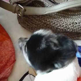 熟女と若僧の画像