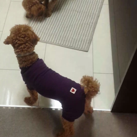 よーく見てみると☆の画像