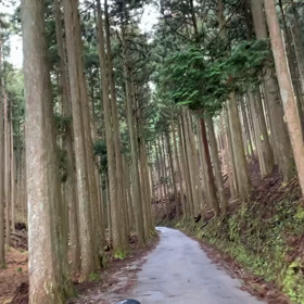 家は買いませんの画像