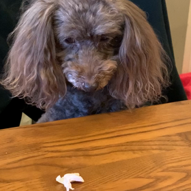 今日の出来事❗️の画像