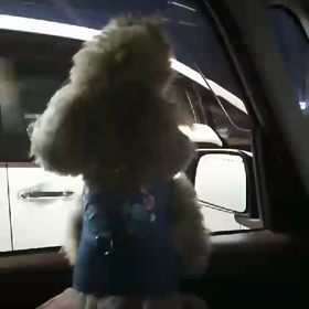 わぁ～～～お　にゃむにゃむにゃむの画像