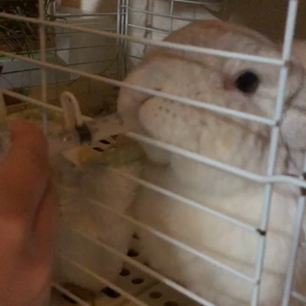 ジュースのチカラの画像