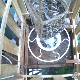 すぎぴたんの事件簿シーズン3　11話（大盛況！アトラクションユラユラ　）の画像