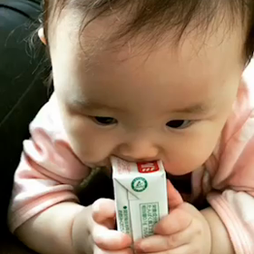 癒しの孫の画像