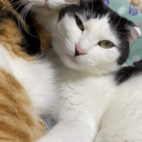 ひと眠りしているその意味は…の画像