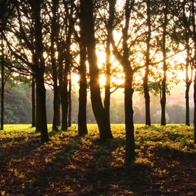 なんかアドリブwの画像