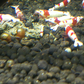 やっと…の画像