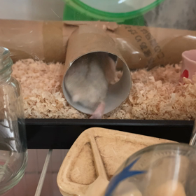 オンラインレッスン♡の画像