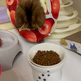 モネが！の画像