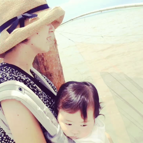 くもで網②。の画像