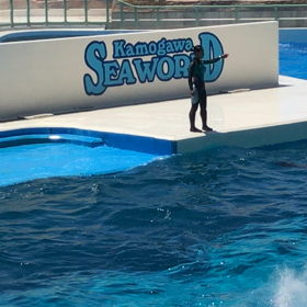 夏合宿32の画像