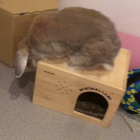 乗ります！の画像