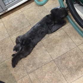 ▶︎いたずらっ子の画像