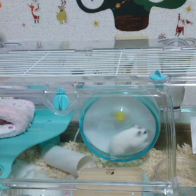 初めてのことが不安の画像