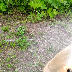 手抜き除草剤散布の画像