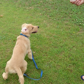 成長記録の画像