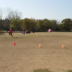 長距離記録会後のリレー(第１レース)⑦の画像