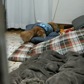 イタズラ見つけたの画像