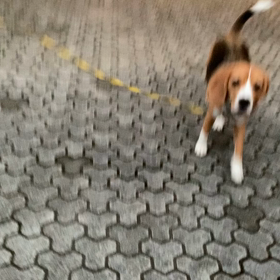 写真は大事です。の画像