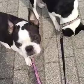 凛くん動画★の画像